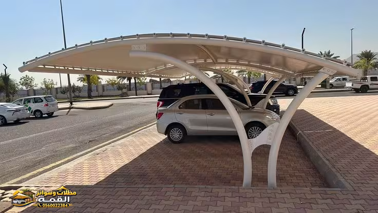 صورة من المعرض