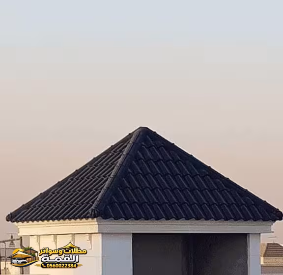 صورة من المعرض