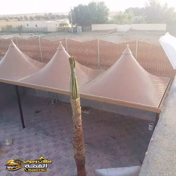 صورة من المعرض