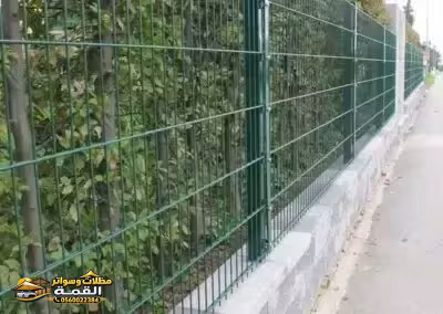 صورة من المعرض