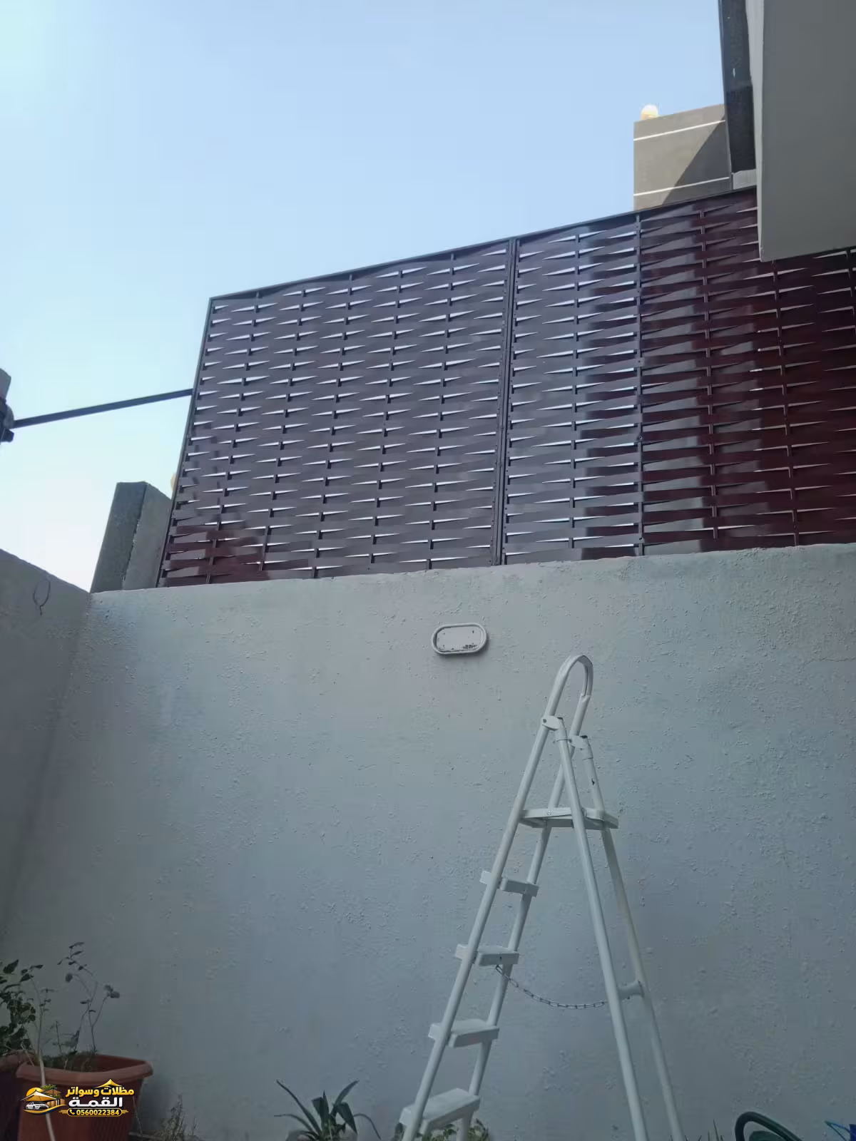 صورة من المعرض